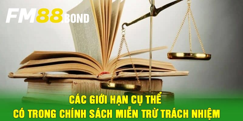 Các giới hạn cụ thể có trong chính sách miễn trừ trách nhiệm