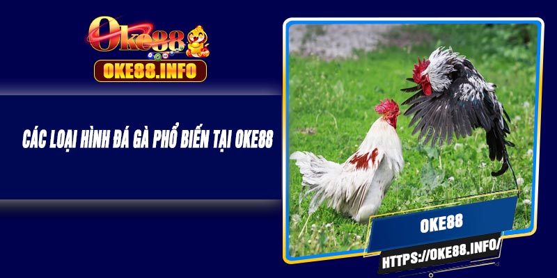 Các Loại Hình Đá Gà Phổ Biến Tại OKE88