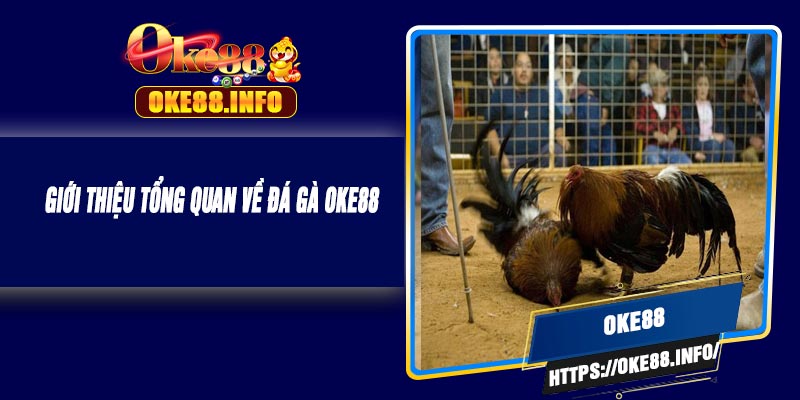 Giới Thiệu Tổng Quan Về Đá Gà OKE88